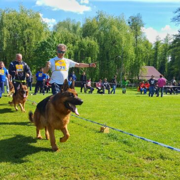 SLO SIEGER – Rezultati