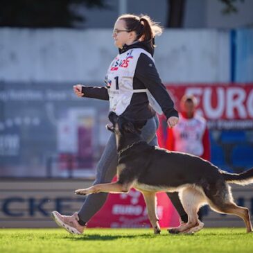 Državno prvenstvo v delu 2025