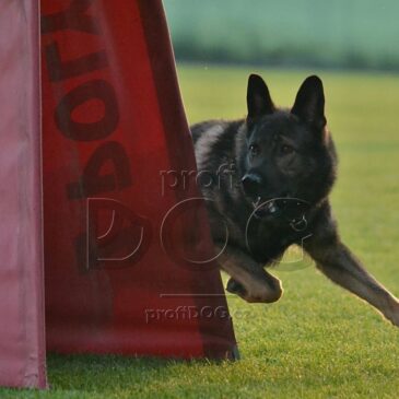 RAZPIS ZA DRŽAVNO PRVENSTVO 2021