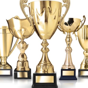 Razstava KD Roma – rezultati