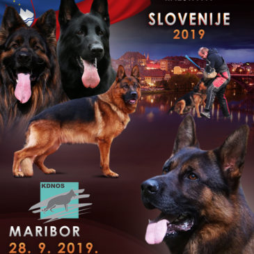 SLO Sieger 2019 – Rezultati/Results/Ergebnisse