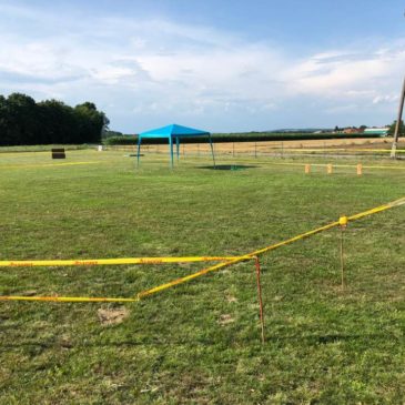 Specialna razstava Vanča vas – Rezultati